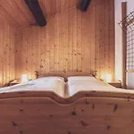 Davoser Huesli By Mountain * Davos